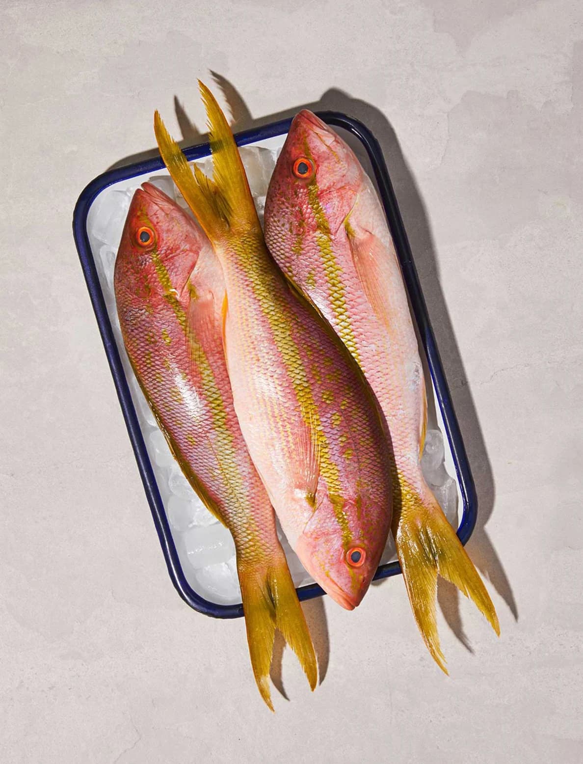 Fresh fish arranged on ice for service